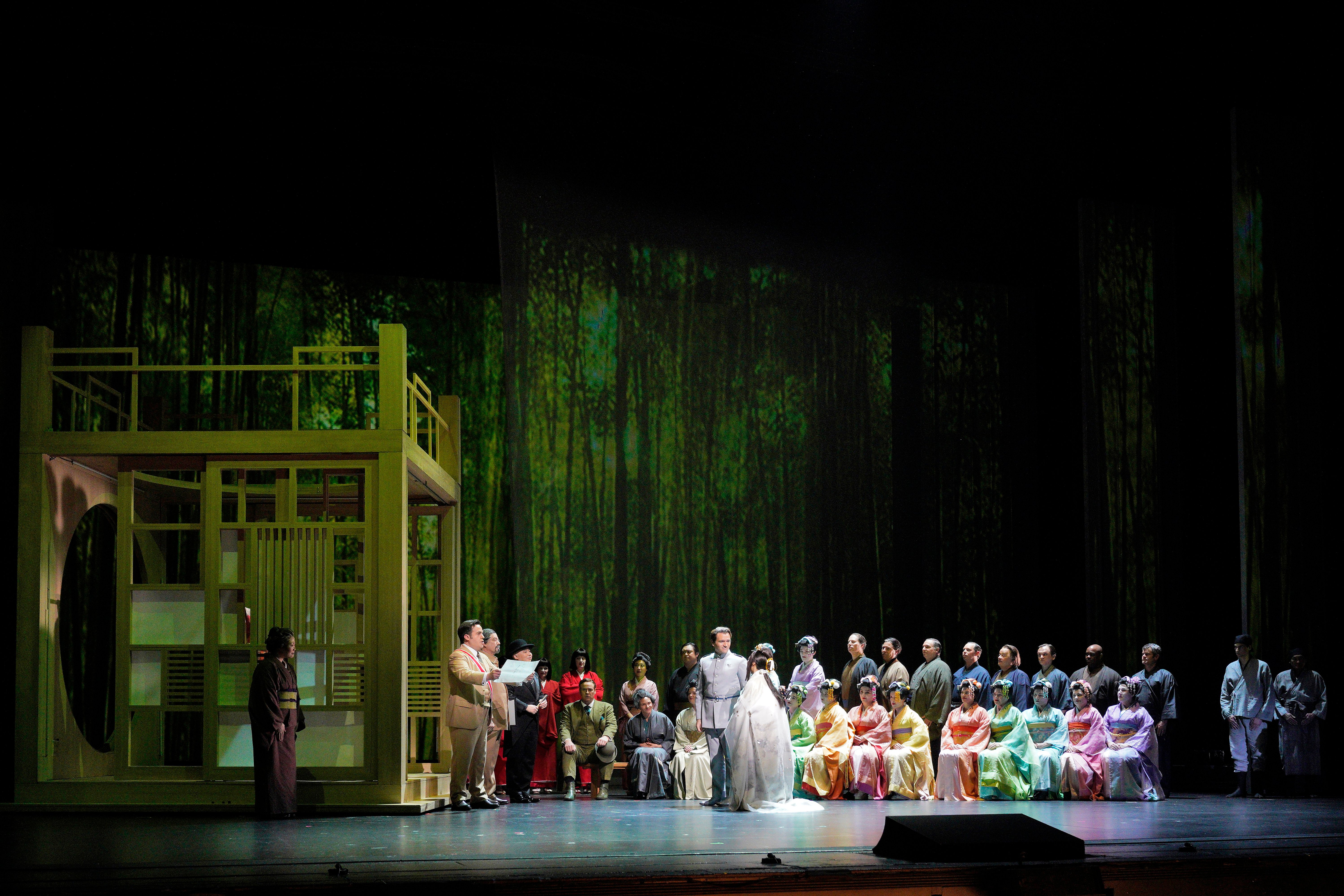 madame butterfly